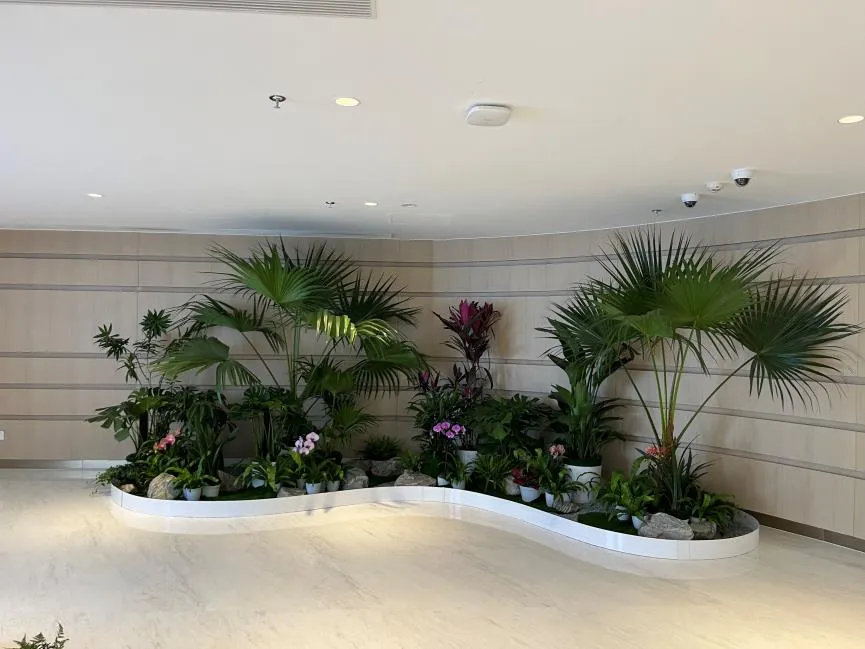 花卉租摆新选择！杭州湾花卉租摆公司超出色